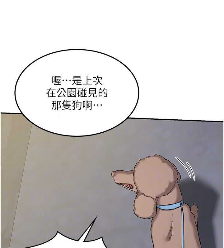 106.jpg