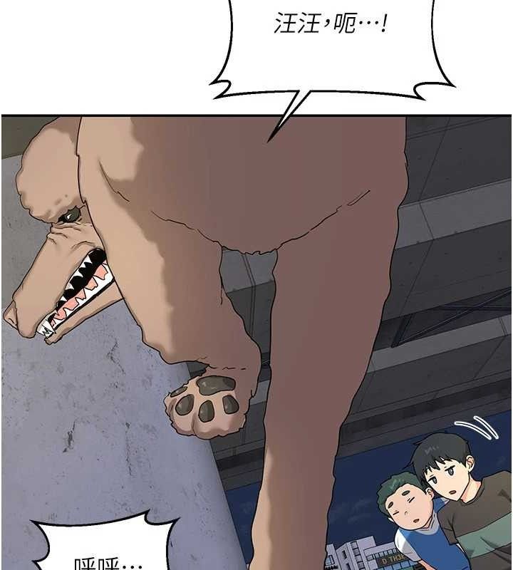 110.jpg
