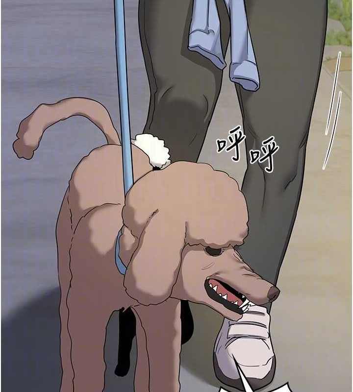 123.jpg