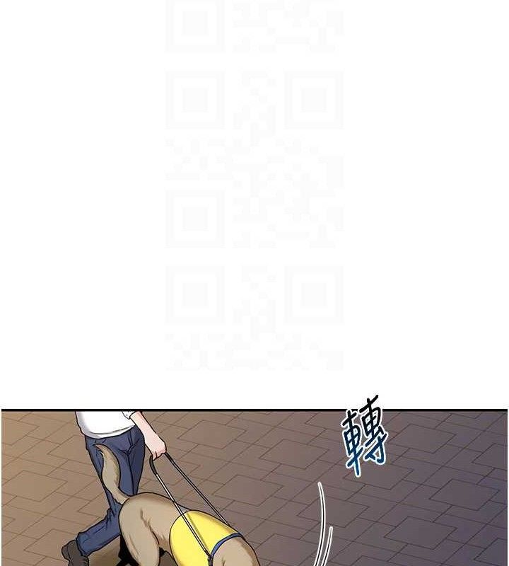 77.jpg