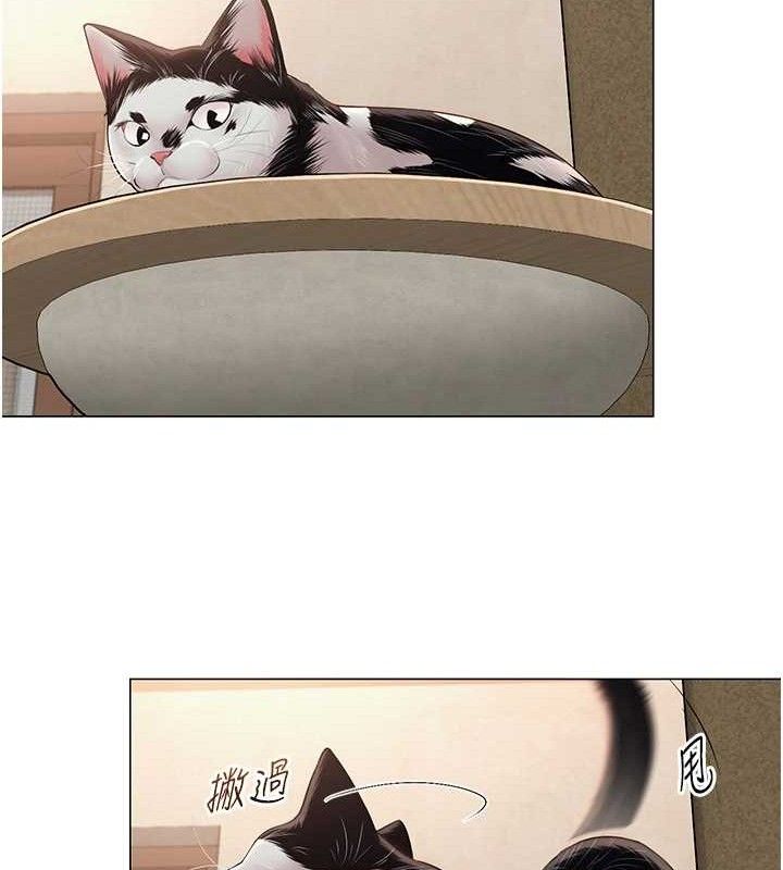 99.jpg