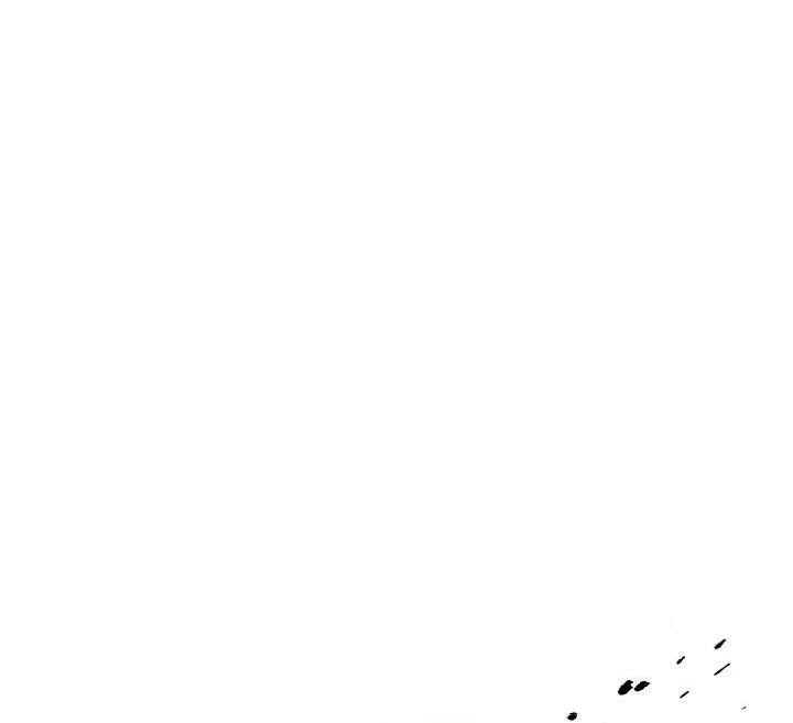 74.jpg