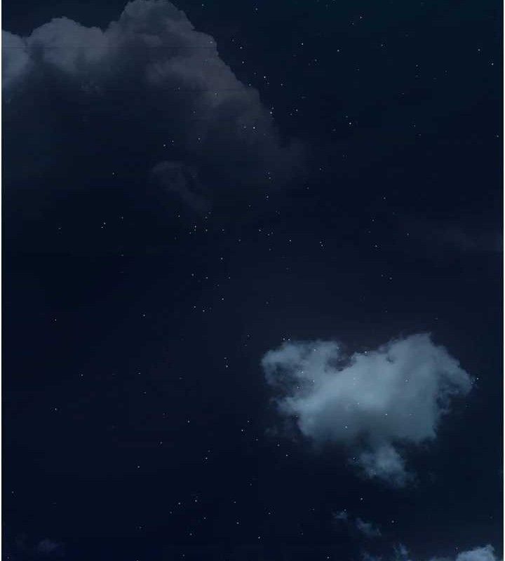 81.jpg