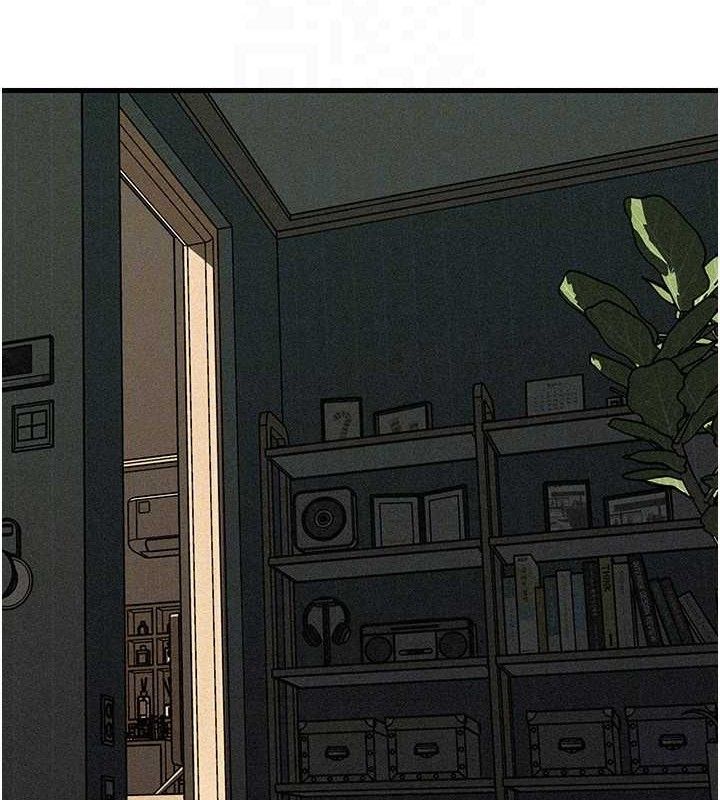 113.jpg
